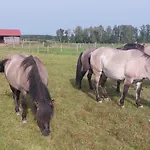 팜스테이 Zielone Ranczo 이아와