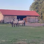 Zielone Ranczo 이아와