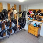 Zielone Ranczo Farm stay