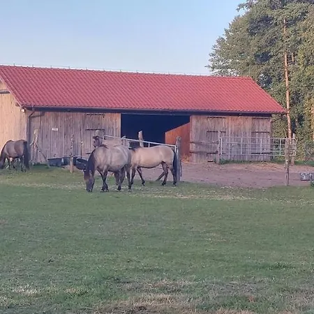 Zielone Ranczo Iława