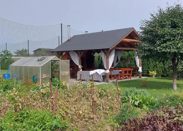 Farma Zielone Ranczo Iława