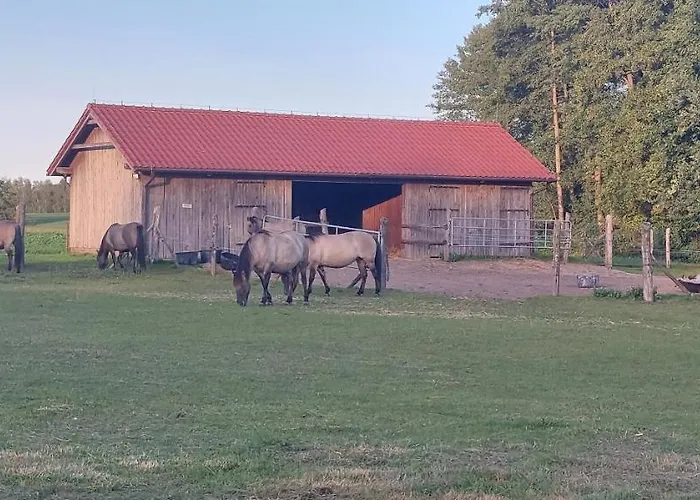 Zielone Ranczo Iława