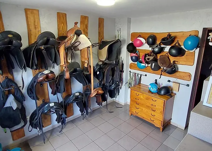 Zielone Ranczo Farma